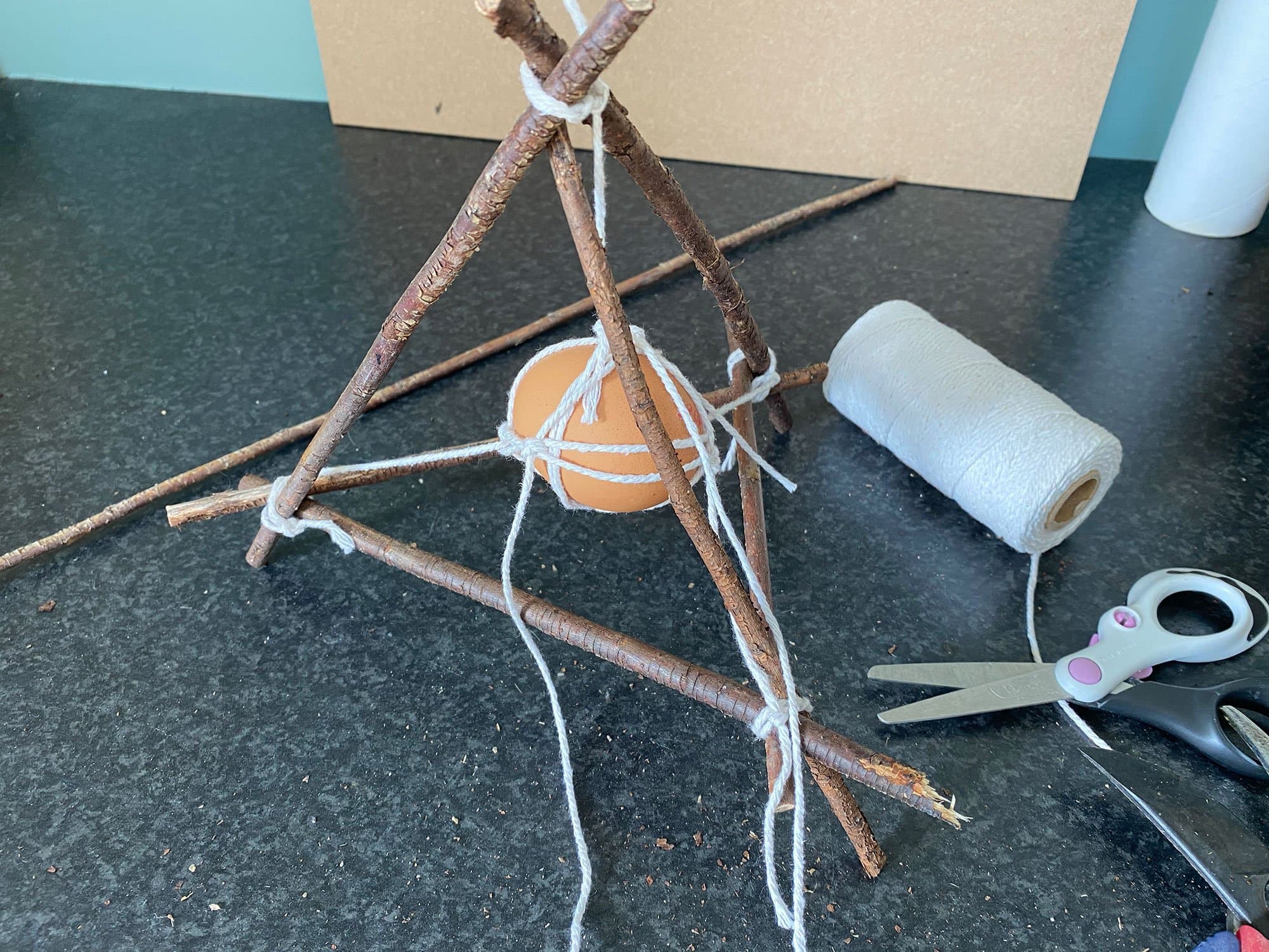 Egg Drop on a Budget