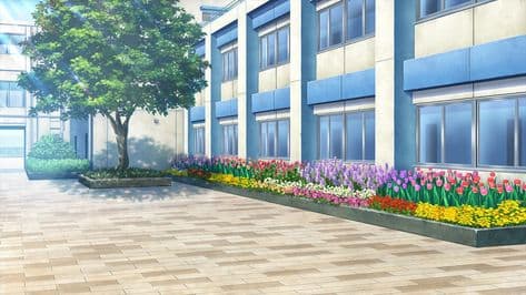 Measure the School Without Touching It