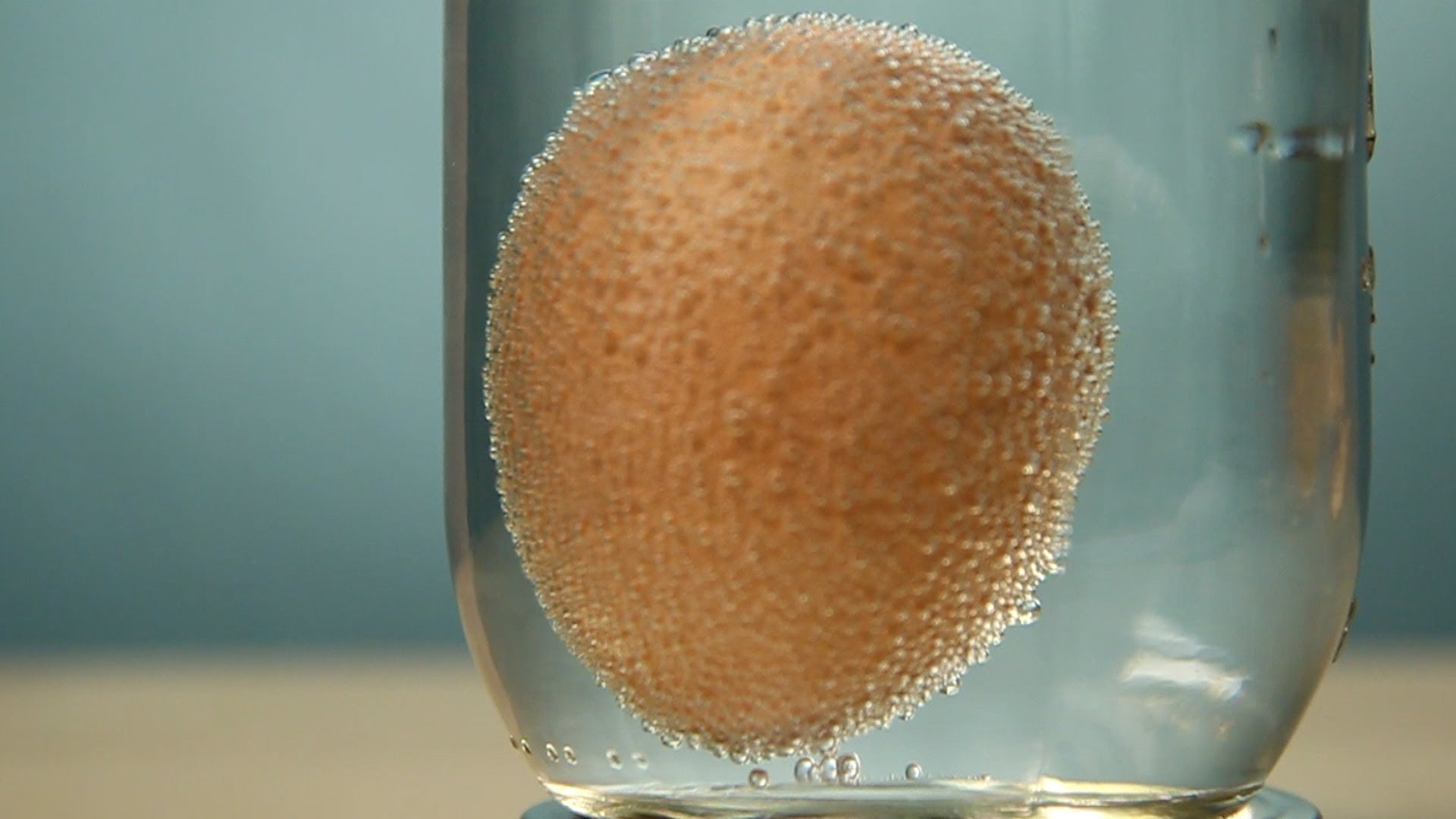 5 Easy Science Experiments You Can Do at Home